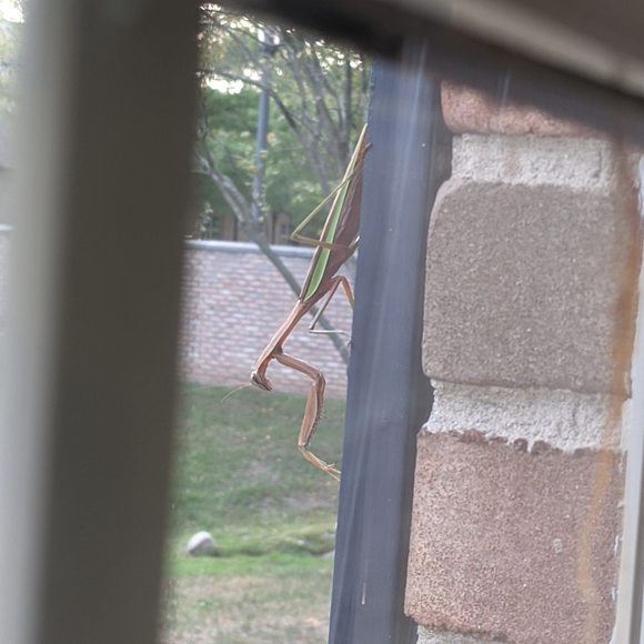 Meet your Posher, Katherine - Picture 6 of 15